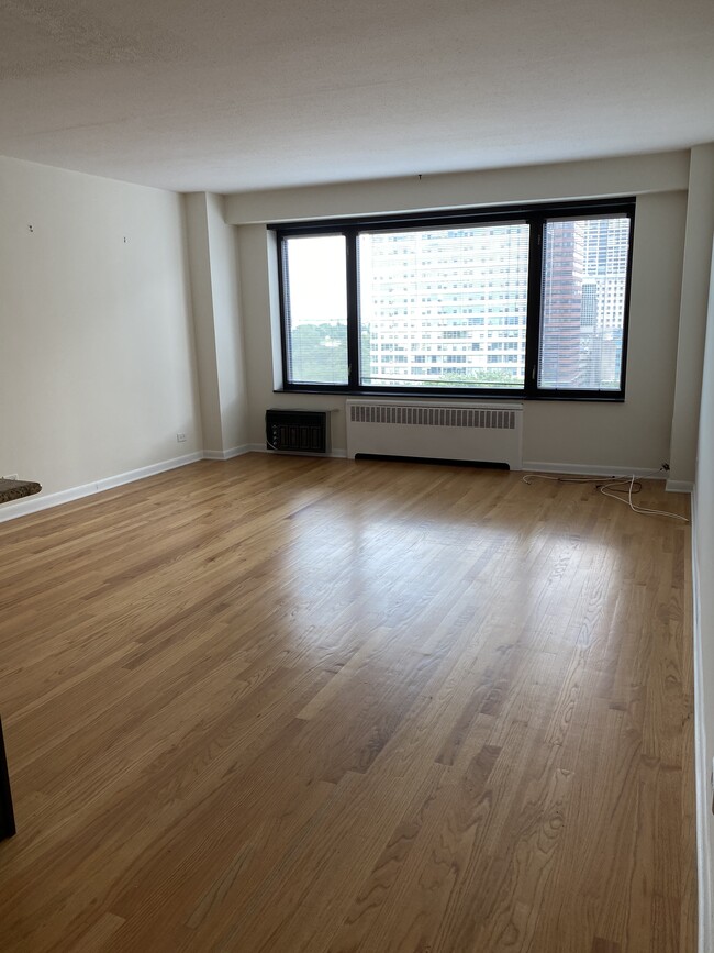 Front Room - 3100 N Lake Shore Dr