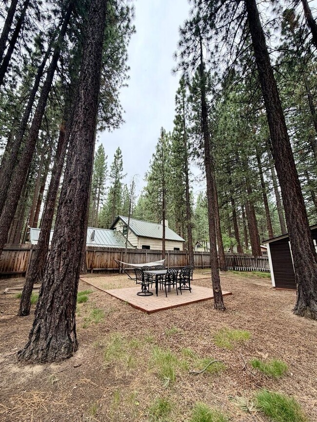 Foto del edificio - Cozy 2 Bedroom Dog Friendly Cabin with Fully Fenced Yard in South Lake Tahoe