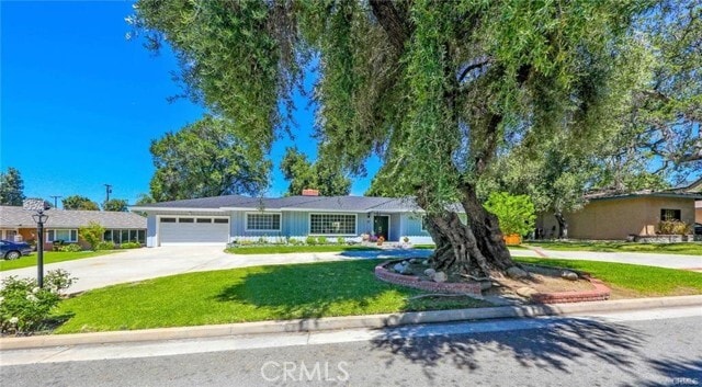 Building Photo - 117 Catherine Park Dr