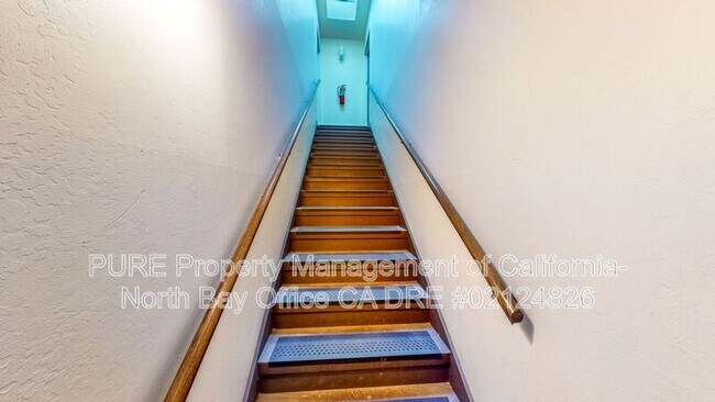 Foto del edificio - 236 San Carlos Ave