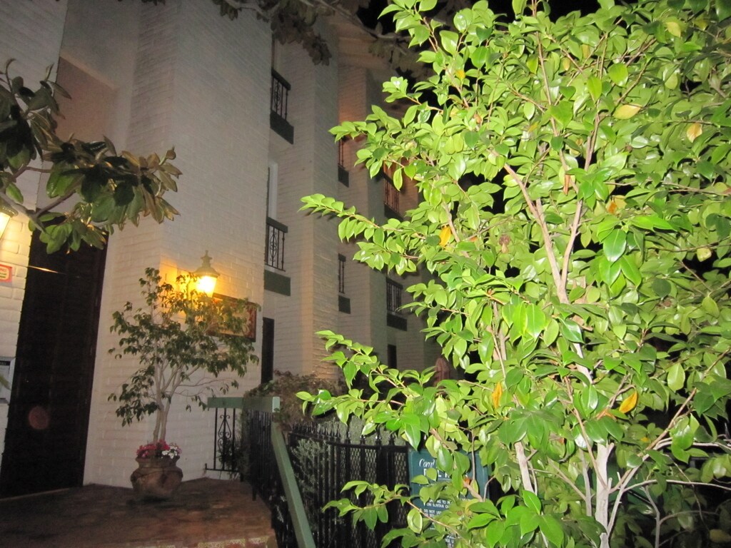 502 San Vicente Blvd Unit 301, Santa Monica, CA 90402 Condo for Rent