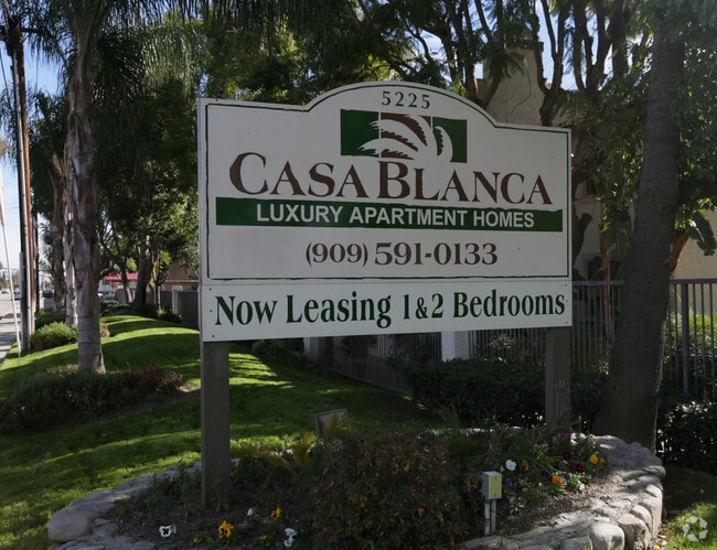 Building Photo - Casa Blanca
