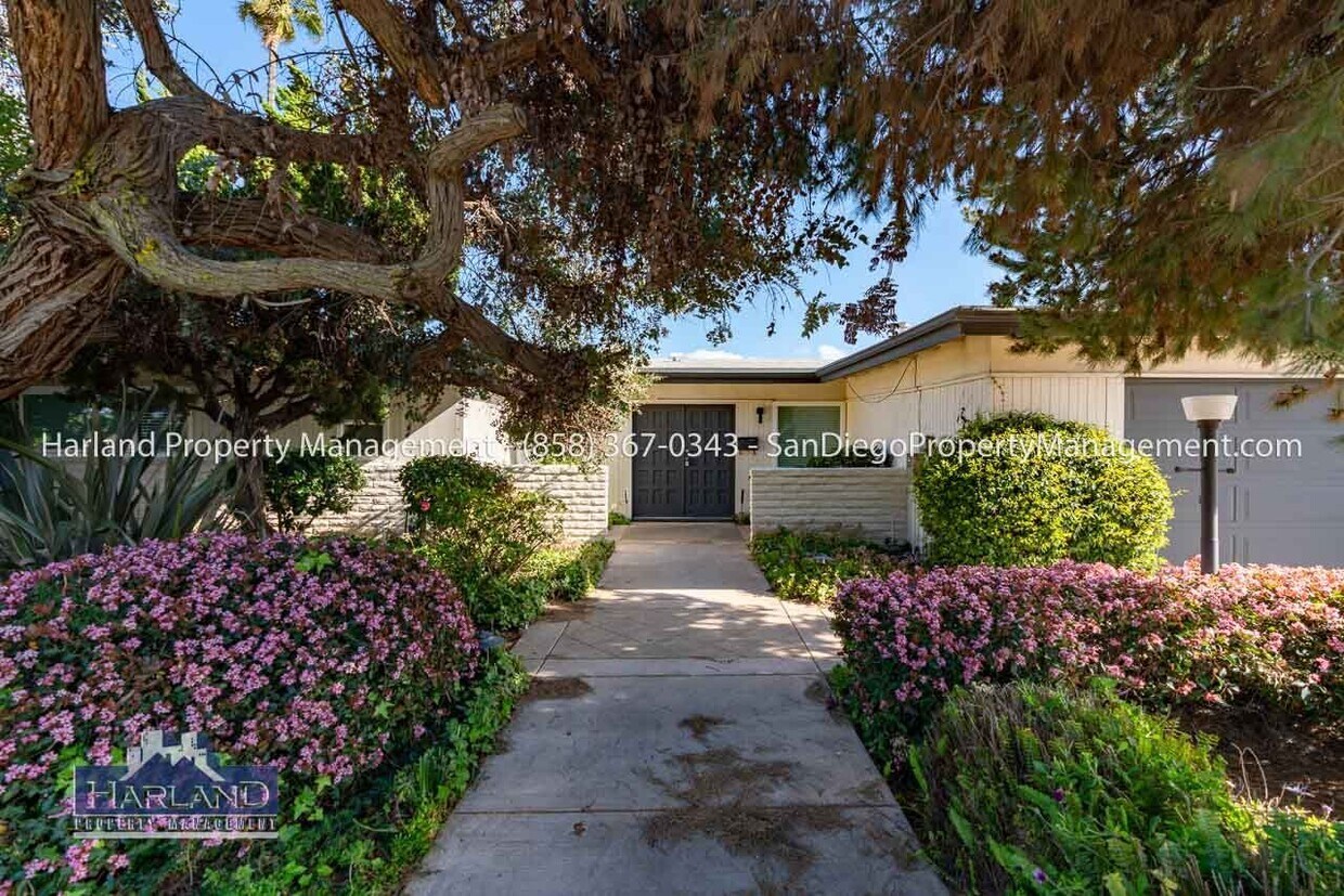 Primary Photo - 2401 Sagebrush Ct