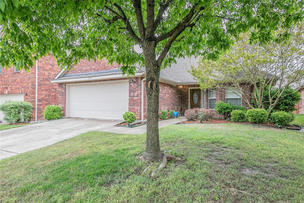 Foto principal - 2917 Holly Ln