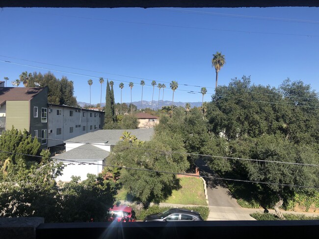 Vista desde el edificio (este/frente) - Amber Crest Apartments