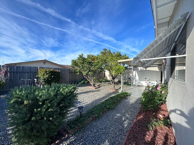 Building Photo - Beautiful 2 bedroom in 55+ Community