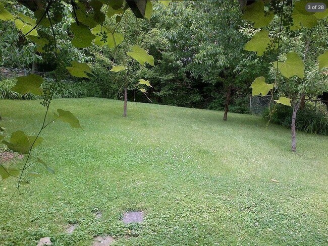 Photo - 1801 Grace Church Rd (Silver Spring, MD) House