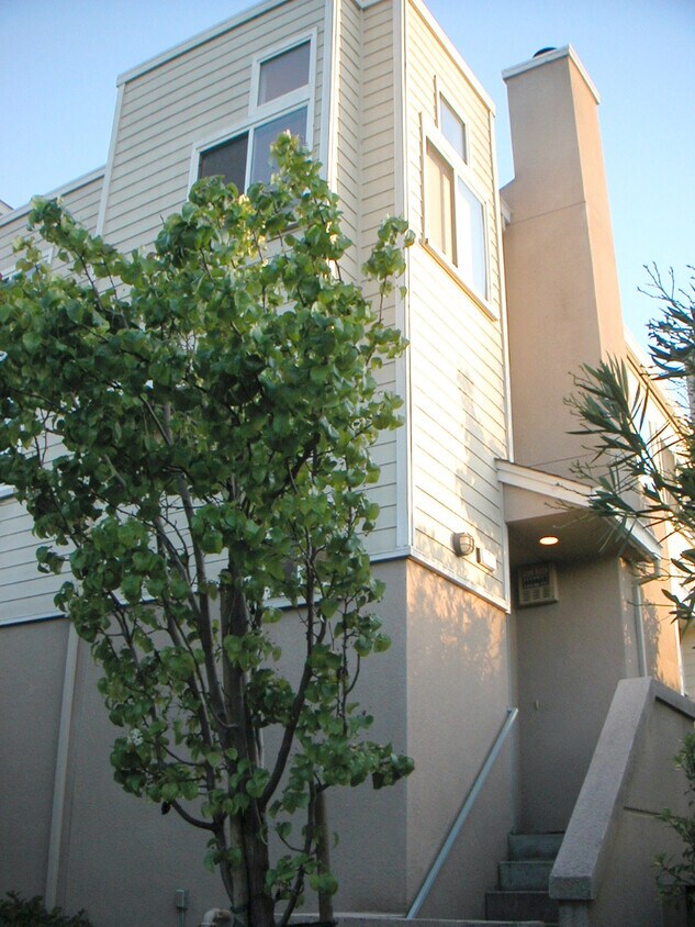 Outside - 1755 California Dr
