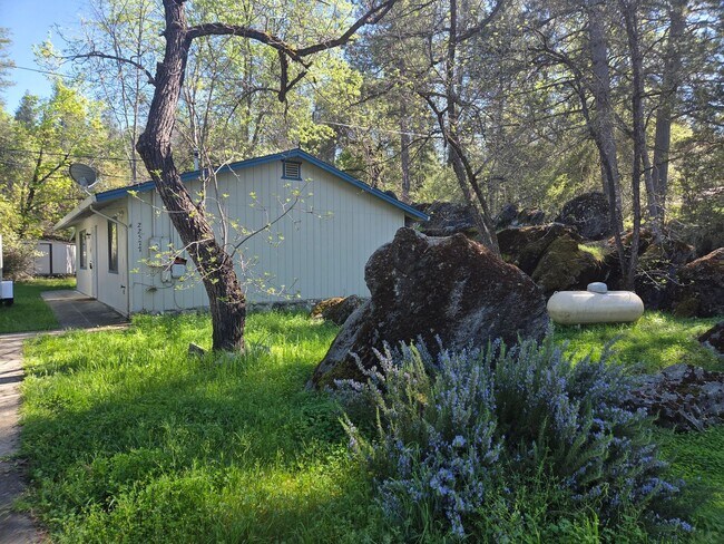 Foto del edificio - Historic Columbia Home Available for Flexible Lease Terms