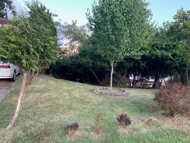 Foto del edificio - Old English Tudor Style Home in South Charleston