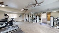 Located at 7952 Pocket Rd in Sacramento, California, this fitness center is a well-equipped, single-floor facility designed to support a full range of workout routines. The space features a neutral color palette with light-toned walls and durable carpet flooring throughout, creating a clean and functional environment. Multiple ceiling fans paired with flush-mount lighting fixtures ensure consistent airflow and visibility across the entire floor.

The cardio section is prominently outfitted with multiple treadmills, elliptical trainers, and a stationary bike, providing ample options for aerobic exercise. The strength-training area features cable machine systems and various selectorized weight machines, accommodating both upper and lower body workouts. Medicine balls and additional accessories are also available for supplemental training.

Full-length mirrors line one wall, enhancing the sense of openness and allowing users to monitor their form during exercise. Natural light filters in through several windows, offering views of the surrounding greenery and contributing to an energizing atmosphere. A wall-mounted television is also present, adding convenience during longer workout sessions. The facility's layout is thoughtfully organized, with sufficient open floor space between equipment zones to allow comfortable movement and safe use of all machines.