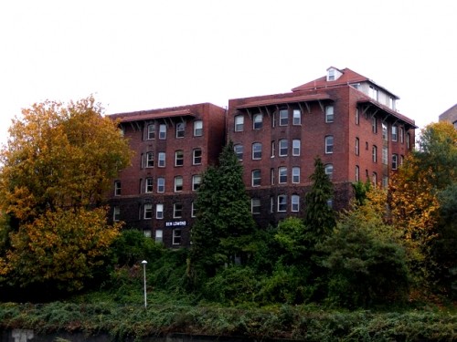 Primary Photo - Ben Lomond - 1 bedroom