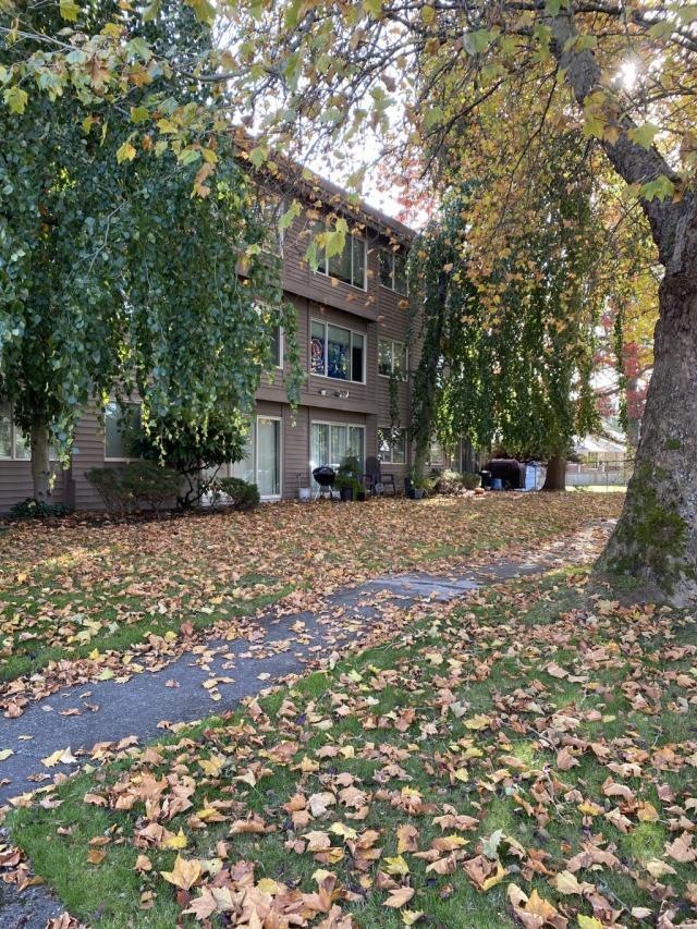 4715 SW Charlestown St, Seattle, WA 98116 Condo for Rent in Seattle, WA
