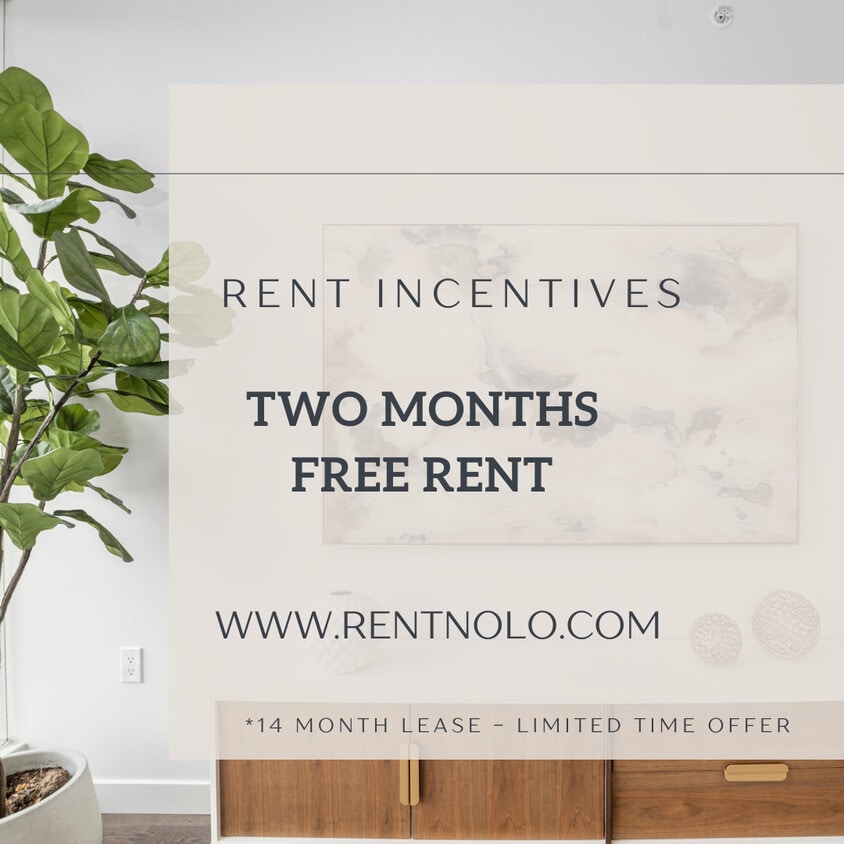 Primary Photo - Nolo