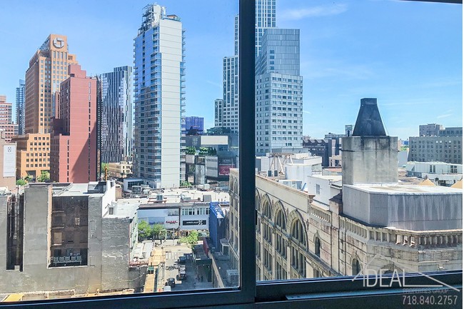 Foto del edificio - 223 Schermerhorn St