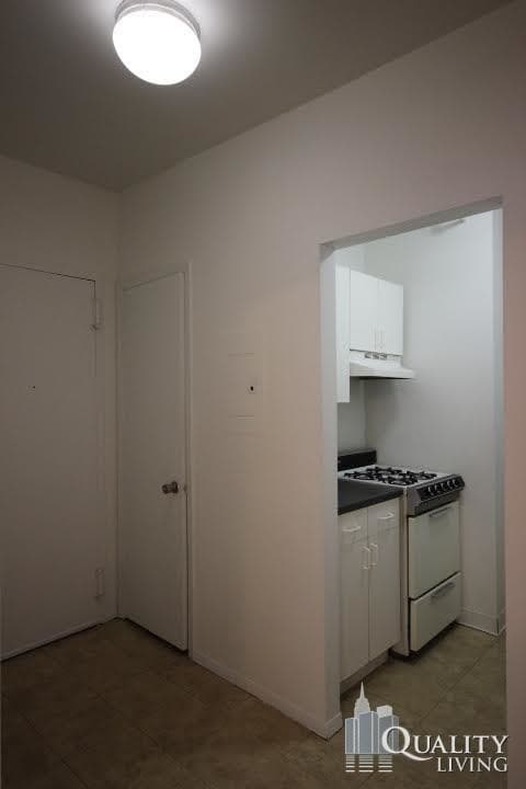 Building Photo - 329 W 55th St