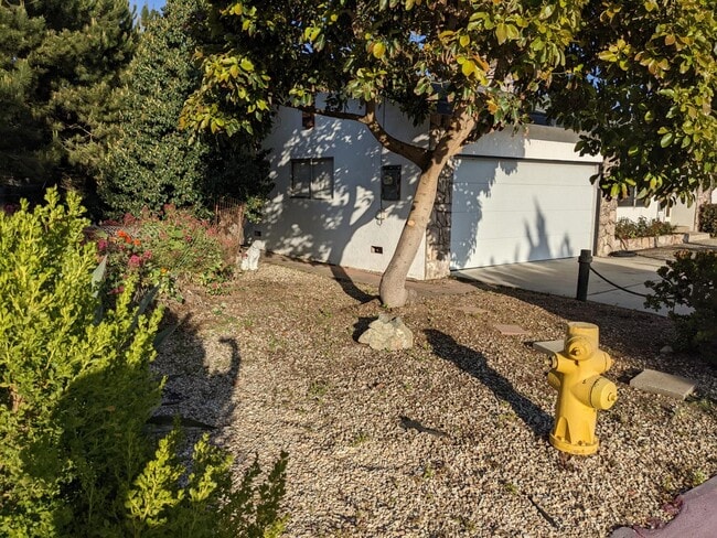 Building Photo - 3110 Coral Ave
