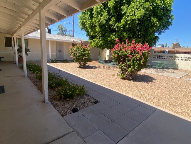 courtyard - 3629 E Glenrosa Ave
