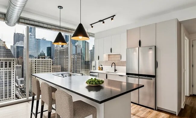Photo - 165 W Kinzie St (Chicago, IL) Apartment