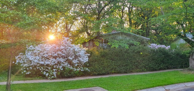 Street View - 3934 Rickover Rd