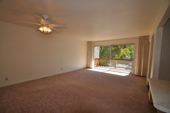Building Photo - Convenient 2 Bedroom San Anselmo Apartment