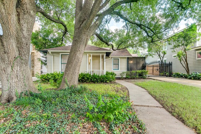 Foto del edificio - Charming Home in Alamo Heights ISD with Bo...