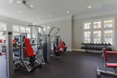 Located at 299 Harris Ln in Gallatin, Tennessee, this single-floor fitness center offers a spacious and thoughtfully designed workout facility. The space is bathed in natural light, courtesy of large, multi-pane windows lining the walls, which provide views of the surrounding community and create an open, airy atmosphere. Soft gray walls, crown molding, and recessed lighting lend a polished, upscale feel to the interior, while durable rubber flooring throughout supports heavy equipment use and provides comfort underfoot.

The cardio zone is prominently positioned along the windowed wall and features a row of Life Fitness treadmills and an elliptical stair climber, all equipped with individual digital screens. Adjacent to this area, additional elliptical cross-trainers offer further low-impact workout options. The strength training section is centrally located and includes a multi-station cable machine, a leg press, and a variety of selectorized weight machines. A dedicated free weights area offers a full rack of dumbbells alongside an adjustable bench, ideal for a range of exercises. Stability balls, medicine balls, and a ball rack round out the functional fitness offerings. Large mirrors are mounted along one wall, enhancing the sense of space and supporting proper form during workouts. A warm wood-framed glass door provides access between sections, adding a refined architectural detail to the overall design.