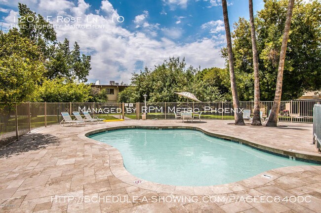 Building Photo - INCREDIBLE ARCADIA LOCATION!!