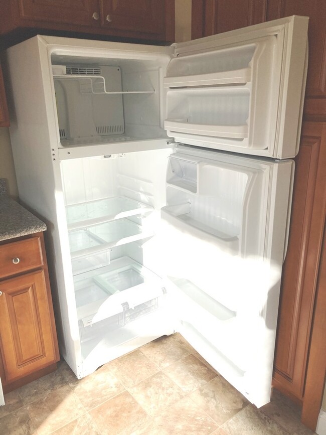 clean fridge - 1311 5th Ave