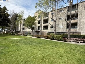 Building Photo - 25850 Kay Ave