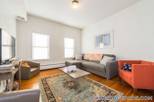 Building Photo - 199 Mt Auburn St