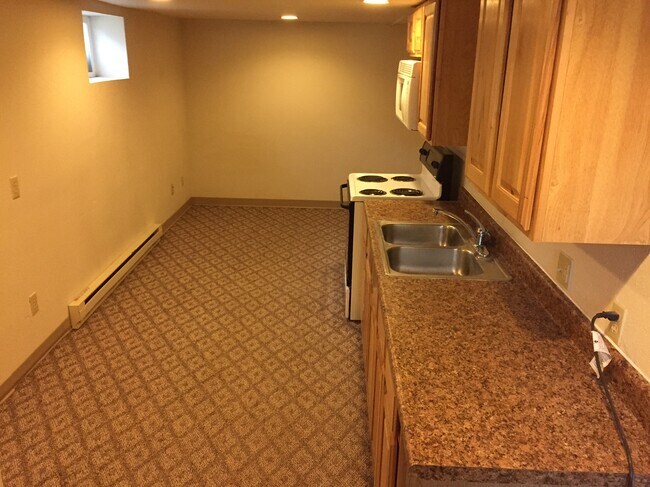 Bottom floor kitchen - 419 7th Ave S