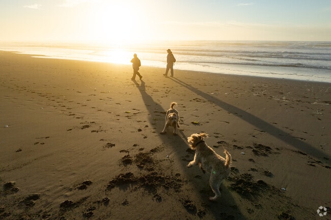 Residents head to Samoa Beach for dog walks and Pacific Ocean sunsets.