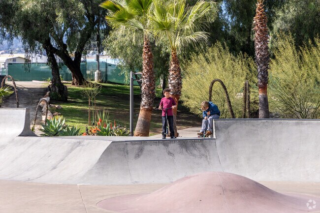 The Lakeside Skatepark is popular in Winter Gardens.