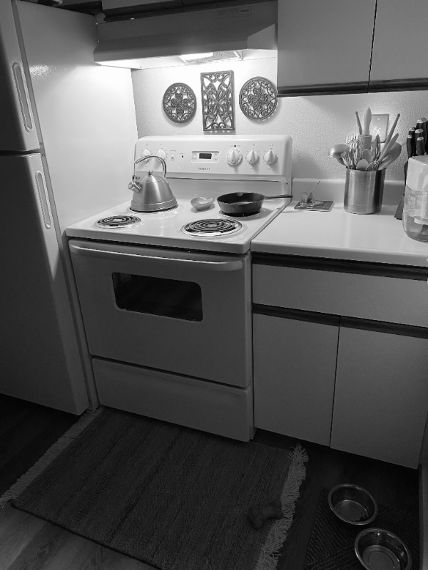 Photo - 334 Wells Ave S Apartment