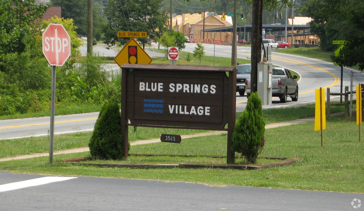 Building Photo - Blue Springs Village