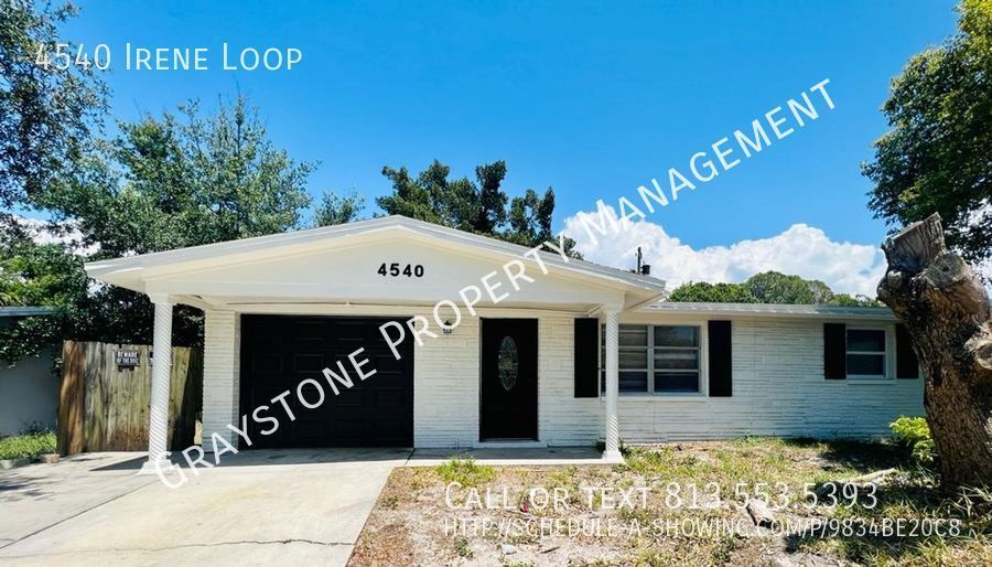 Primary Photo - 4540 Irene Loop New Port Richey