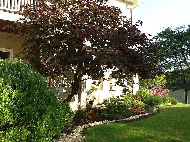 Foto principal - 4108 Lenox Oval