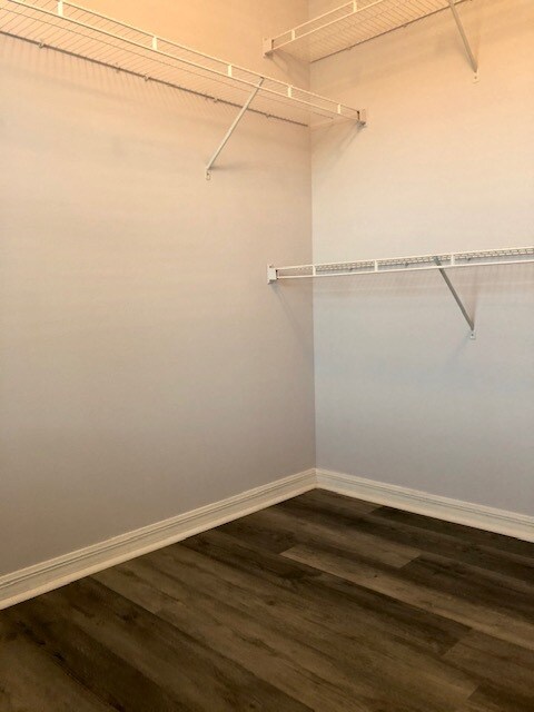 Walking Closet in Master Bedroom - 6999 St Ives Ct