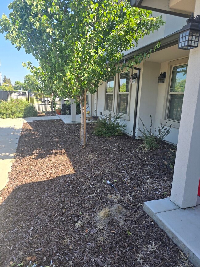 Building Photo - 6637 24th St