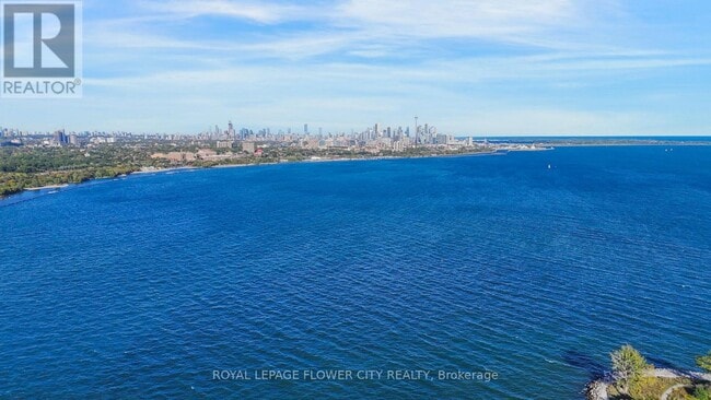 Photo du bâtiment - 38 Annie Craig Dr