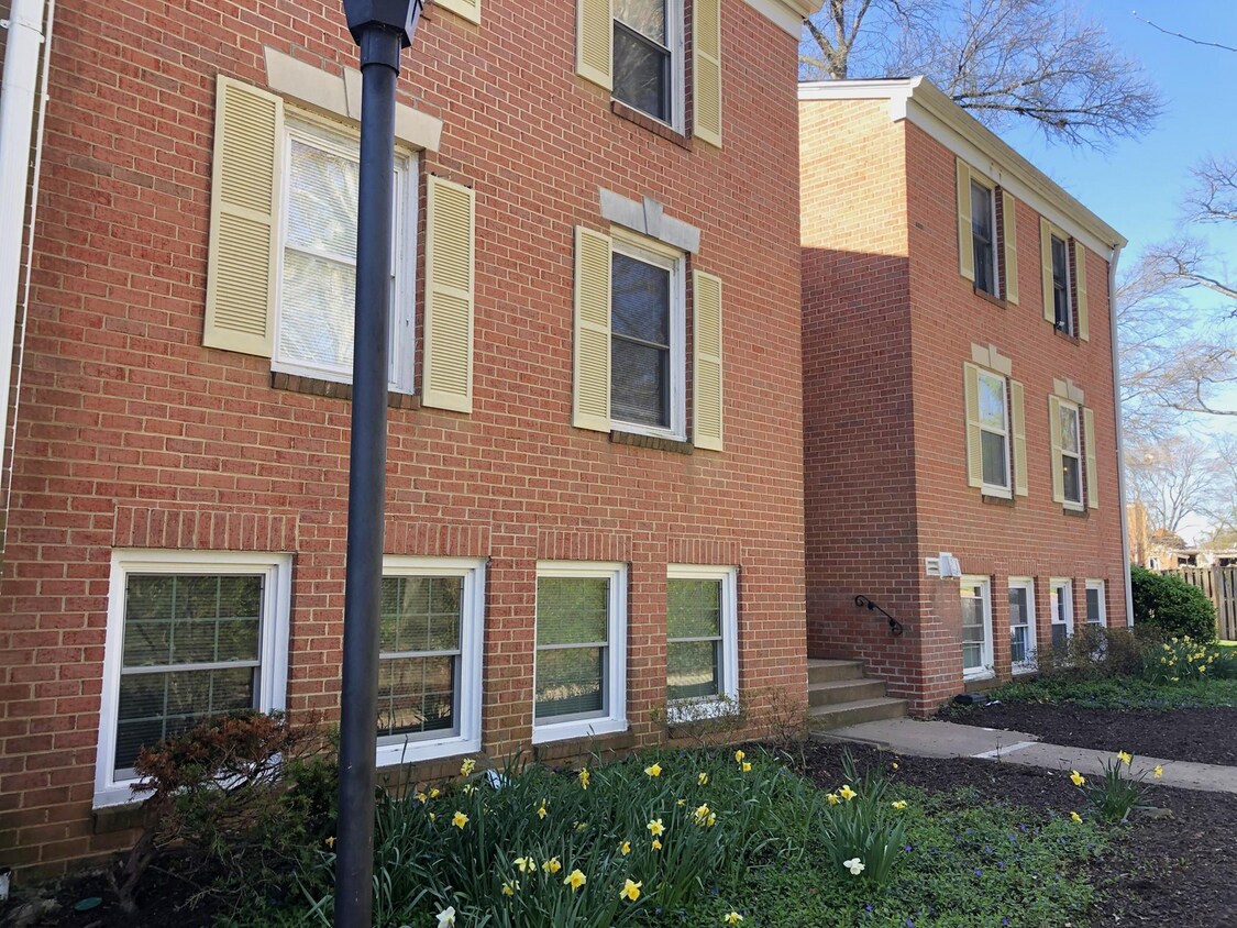 Nicely Updated Terrace Level 1/1 condo - Nicely Updated Terrace Level  1/1 condo