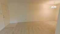 This single-floor space presents a straightforward and functional layout with a clean, move-in-ready aesthetic. The interior is characterized by neutral, light-toned walls that create a bright and airy atmosphere throughout. Soft wall-to-wall carpeting covers the floors, adding warmth and comfort underfoot while contributing to the overall understated palette of the space. The open layout of the main room offers generous proportions, providing flexibility for a variety of furniture arrangements and uses. Standard electrical outlets are positioned along the walls, ensuring practical utility throughout. The smooth, uniform walls and simple trim details give the space a clean architectural finish that serves as a blank canvas for personalization. Natural light filters into the room, enhancing the sense of openness. The overall ambiance is calm and neutral, making it well-suited for a wide range of occupants and purposes. With its straightforward design and well-maintained interior, this space offers a solid foundation for those looking to bring their own style and vision to a versatile, single-level environment.