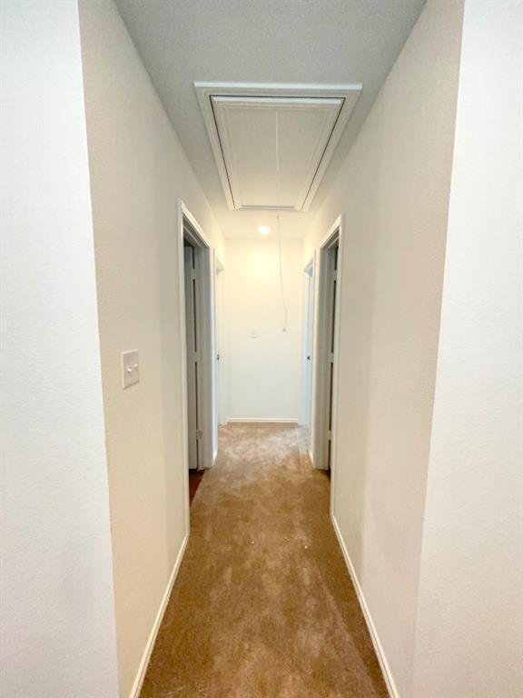 Foto del edificio - 185 Magalia Ln