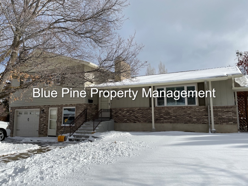 Primary Photo - 715 S Fanning Ave
