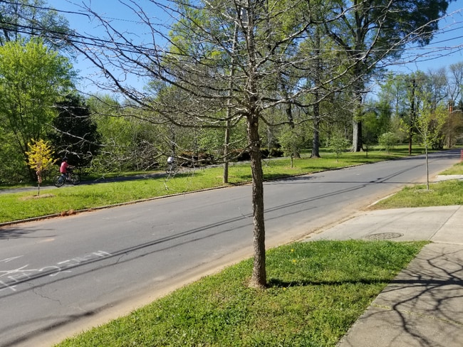 ¡Esta casa está literalmente justo al otro lado de la calle del camino verde! - 2931 Westfield Rd