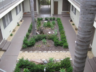 Courtyard - 1640 Brockton Ave