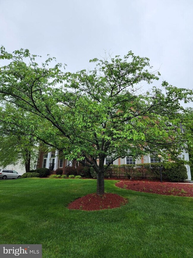 Foto del edificio - 3123 Oxford Forest Dr