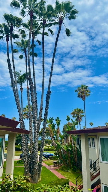 Courtyard - 8231 Camino Del Oro