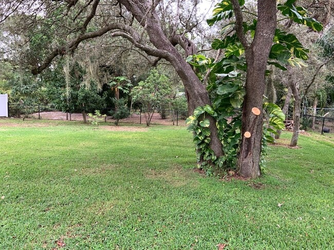 Building Photo - 1539 Black Bear Ave